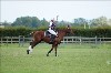 UKPA NC SAT_2694